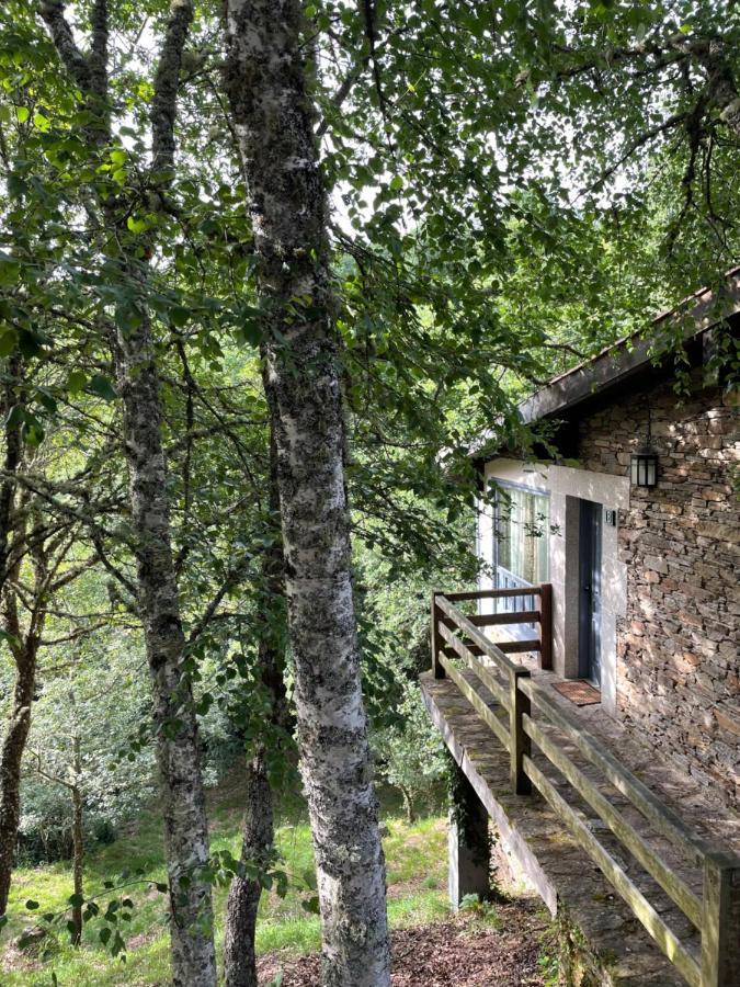 Aldea Couso Rural Hotel Sarreaus Екстериор снимка